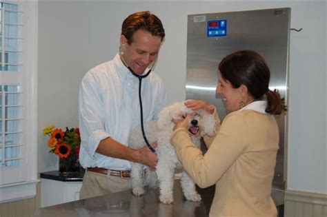 Exceptional Pet Care at Two River Animal Hospital Fair Haven: Your Trusted Veterinary Partner